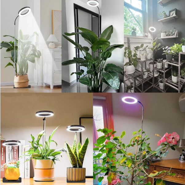 Full Spectrum Indoor Plant Grow Lamp